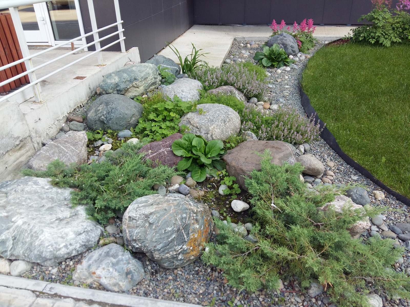 Красота у подъезда