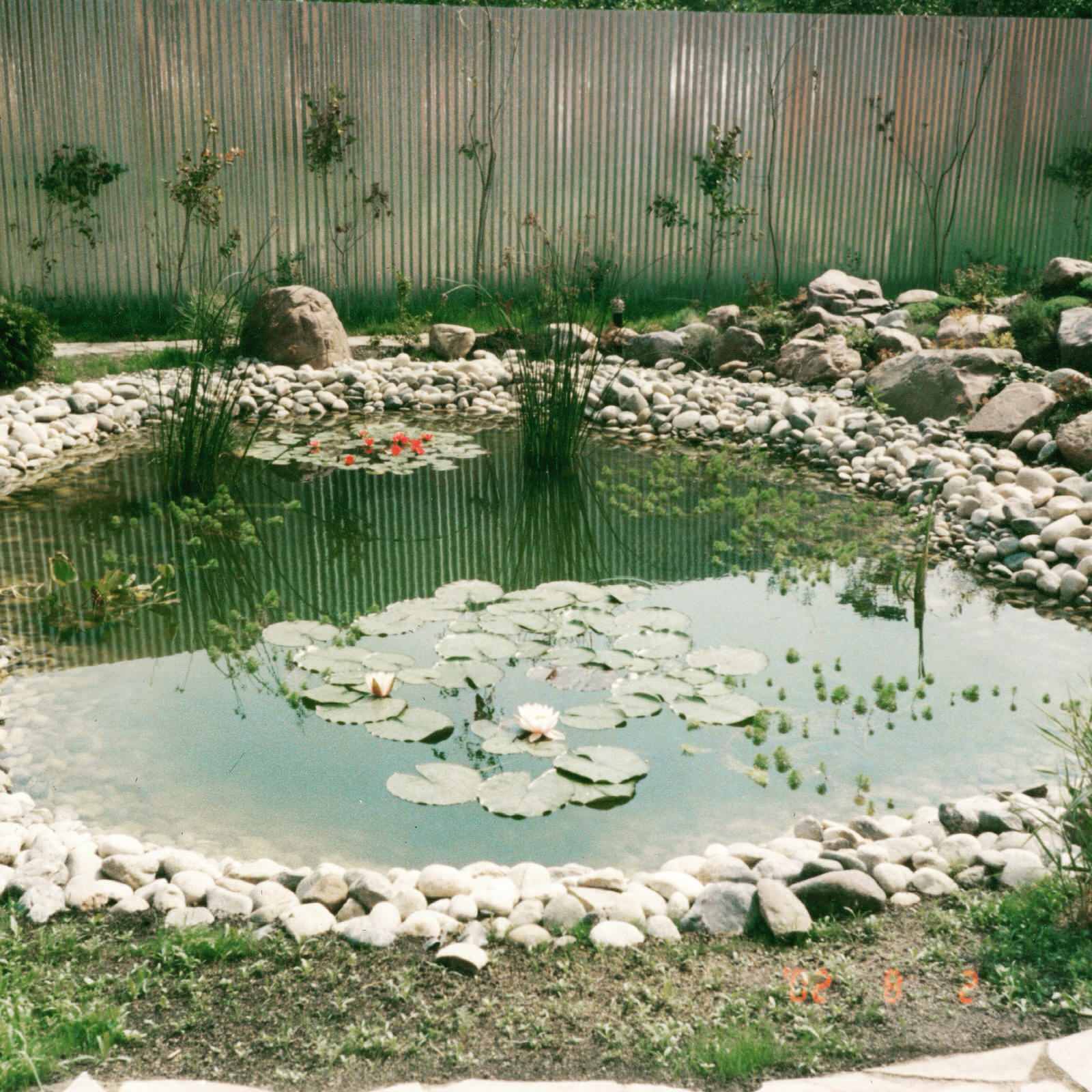 Обложка проекта: Пруд на участке