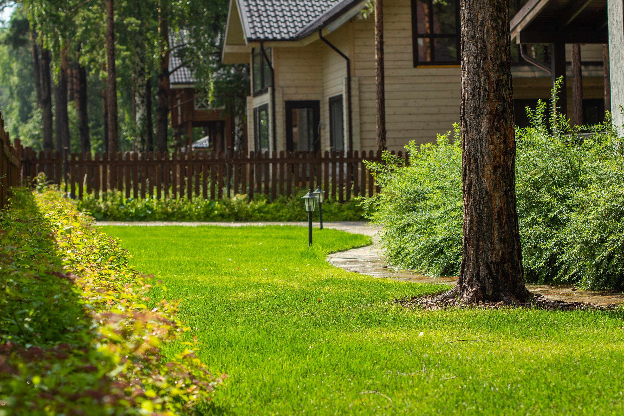 У леса на опушке