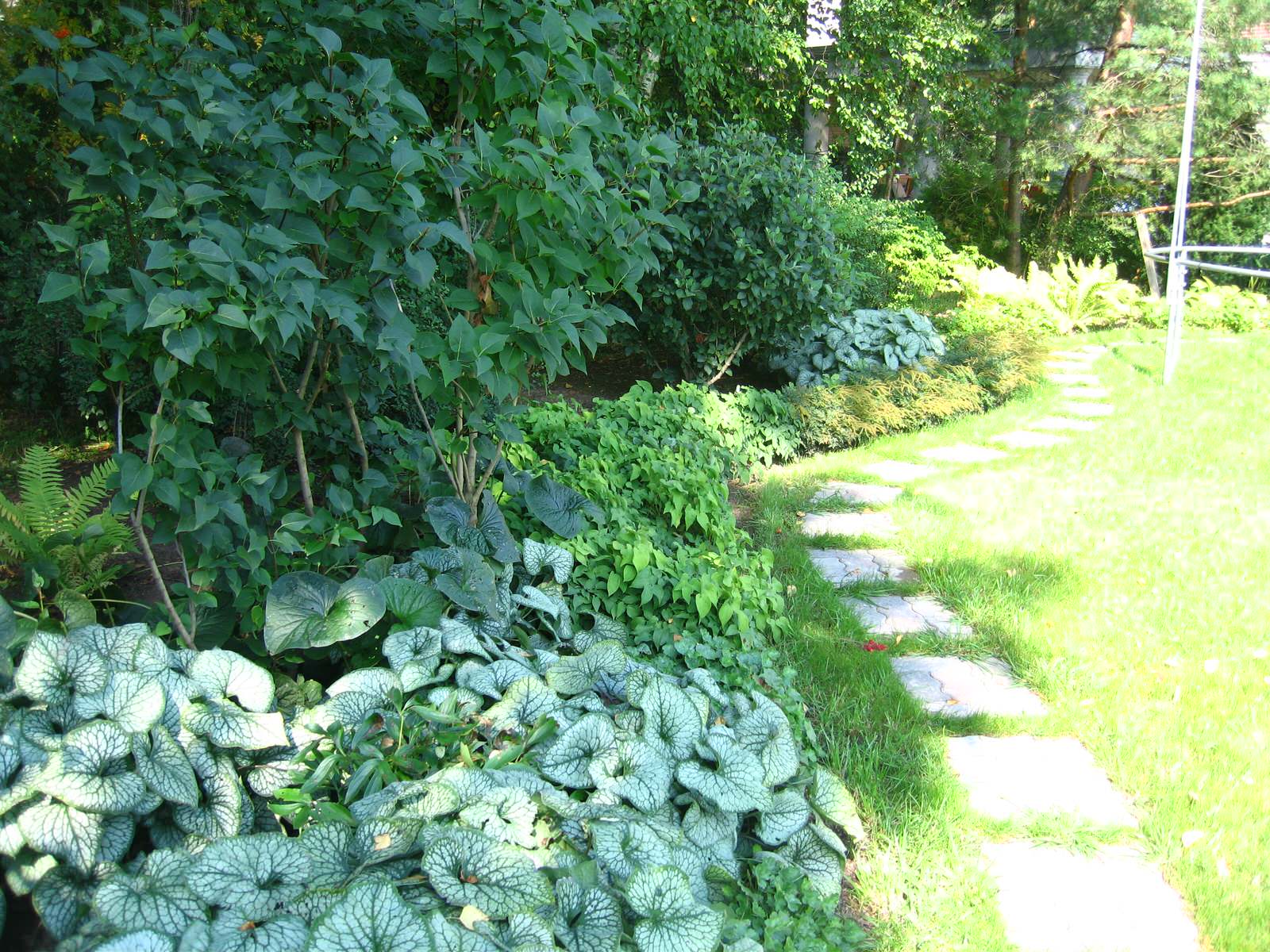 Сад в английском стиле