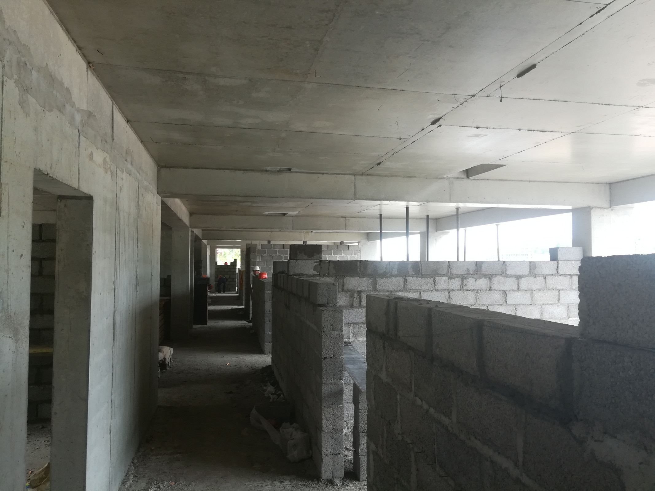 "Сириус" школа для одаренных детей