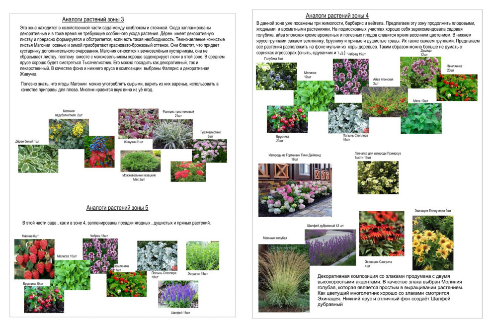 Ассортимент растений