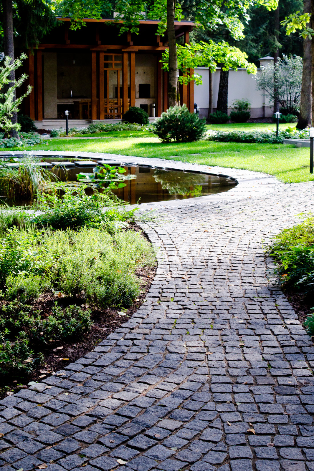 Глянцевый лес