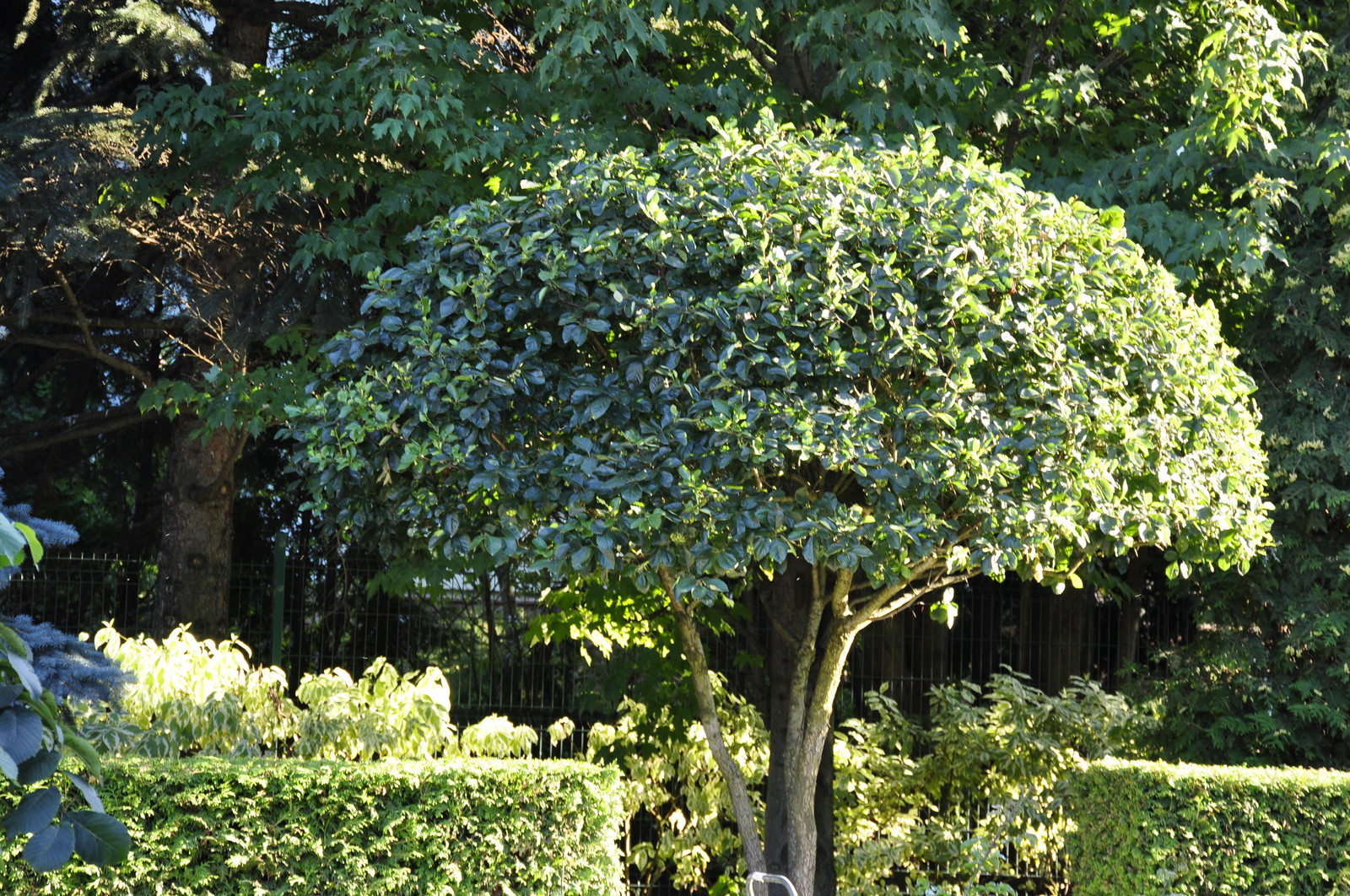 кп "Усово" - Уход за садом - 100% качество