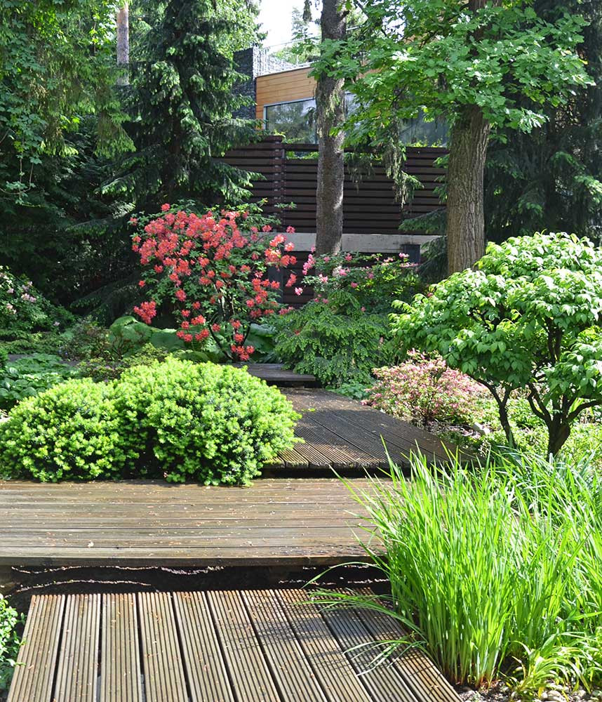 Обложка альбома: кофейня