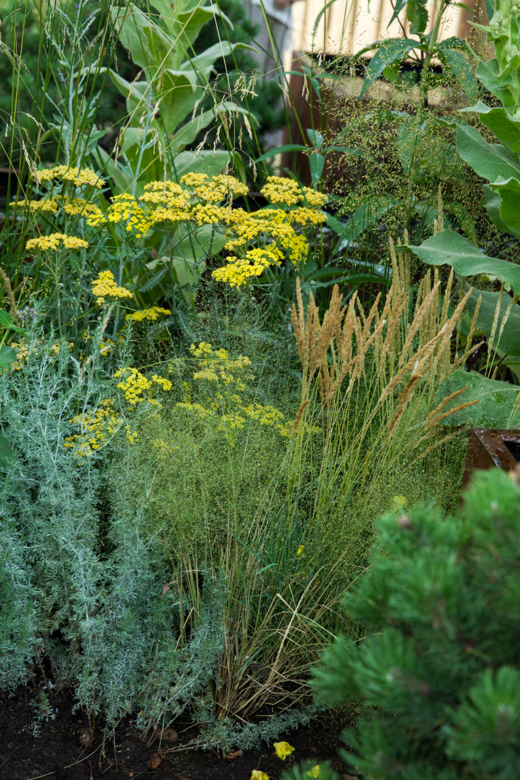 Сад   James Alexander-Sinclair  на Moscow Flower Show 2018  (вне  конкрса)