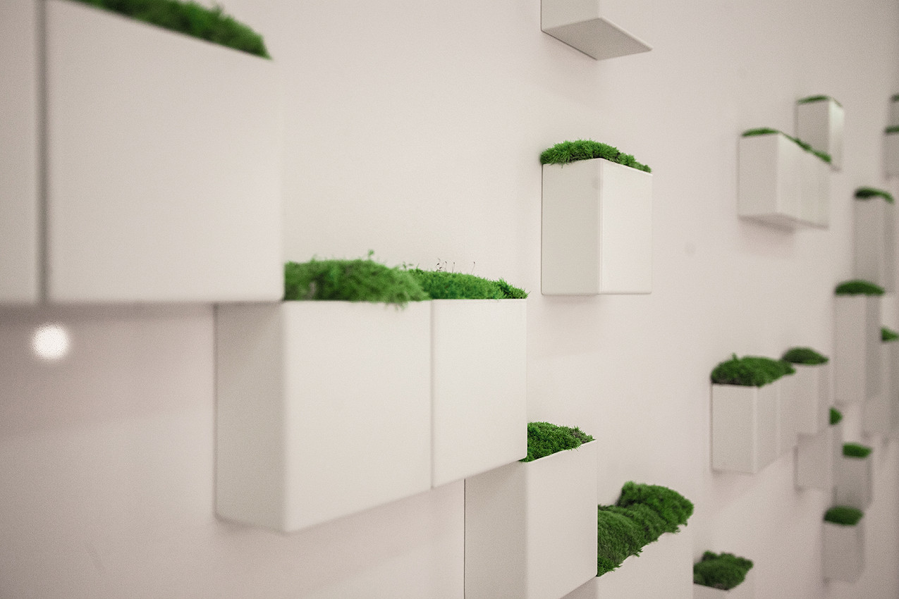 Обложка альбома: Для кошек