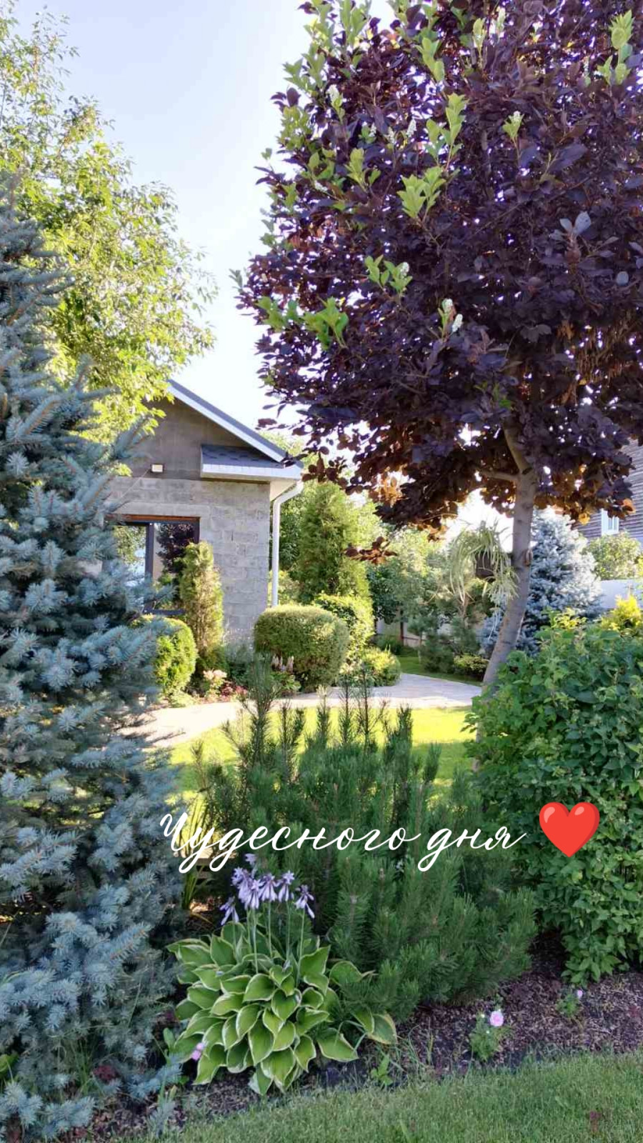 Мое творчество