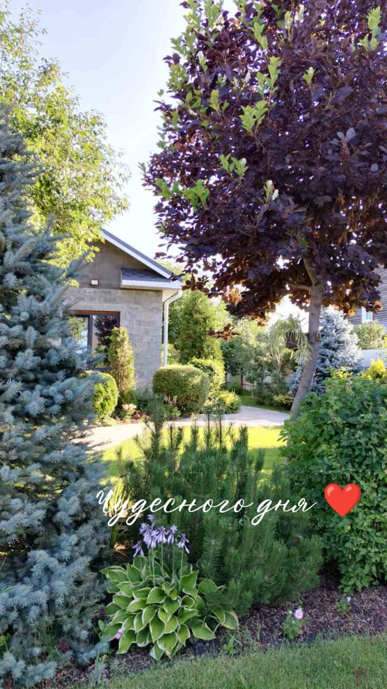 Мое творчество