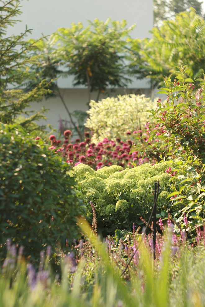 landscape design - Kirovskoe_Dnepropetrovsk region