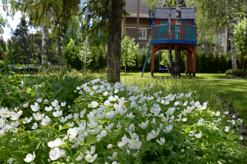 Новогорск 2021