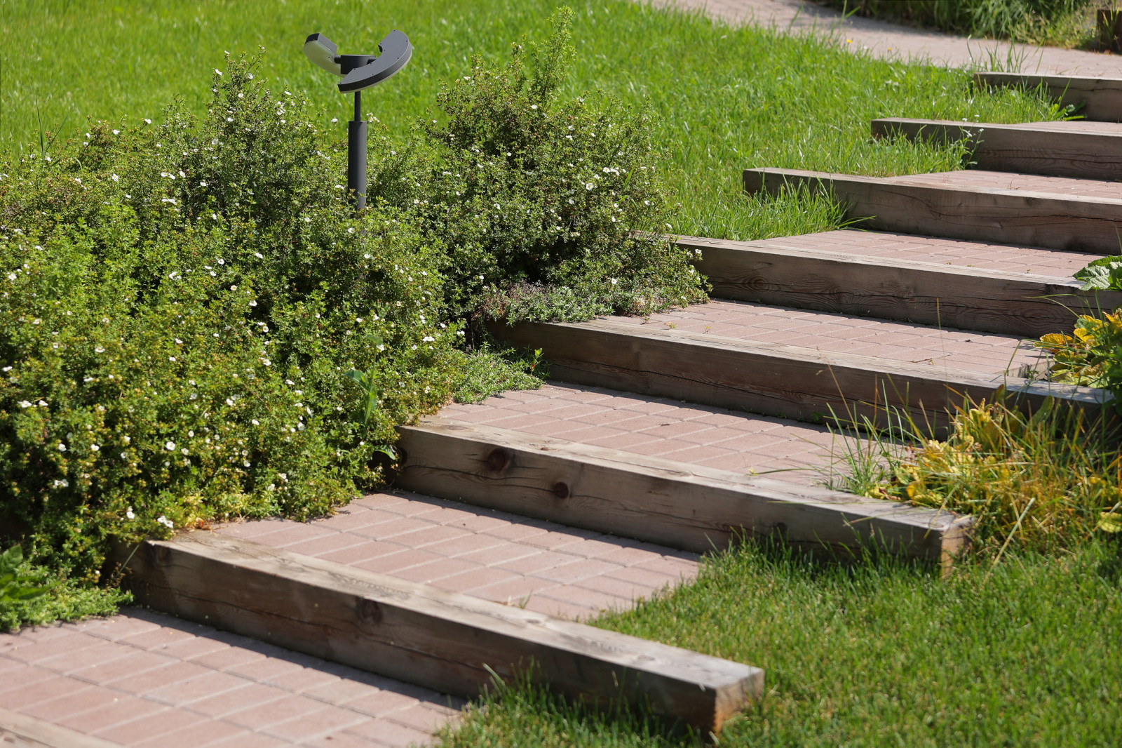 В гостях: Переделка природного сада у каскада прудов