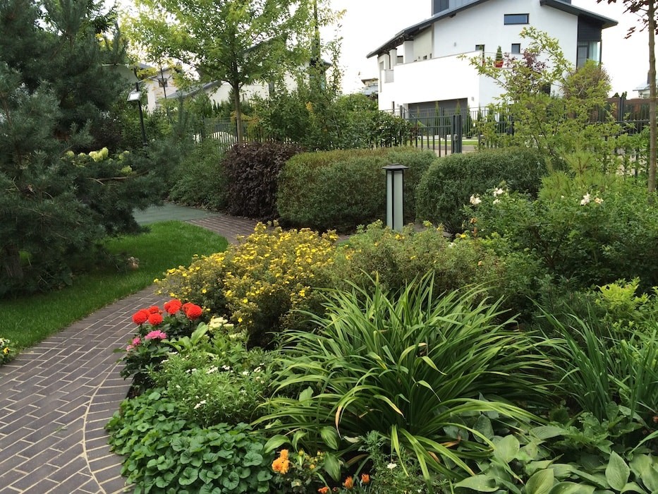 Обложка проекта: Новорижское шоссе. 16 соток.