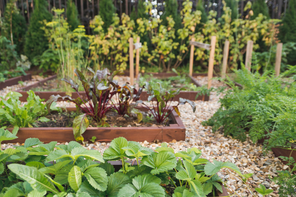 Современный сад на Успенском шоссе