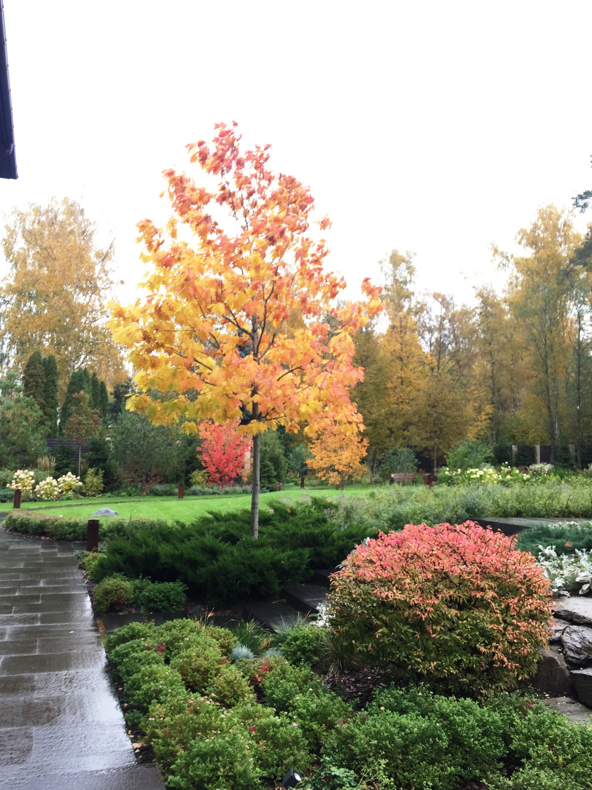 Обложка проекта: Усово2016