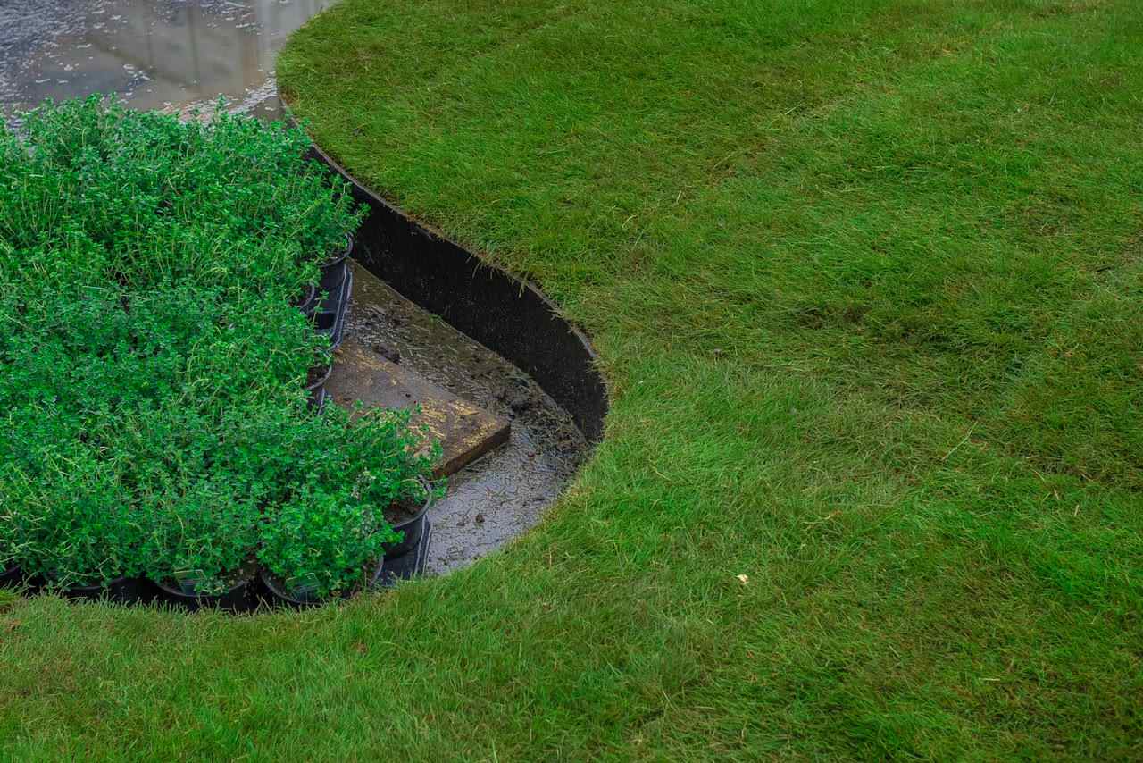 Русский сад - Челси 2016