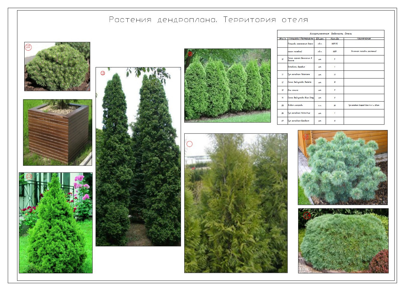 Куркиёки. Отель