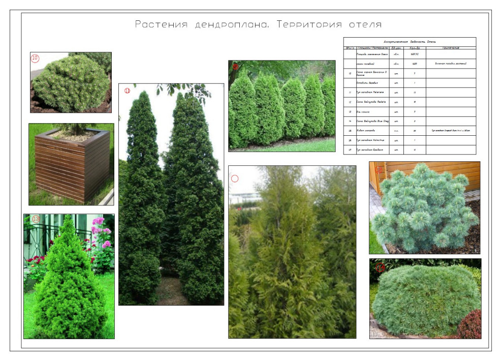 Куркиёки. Отель