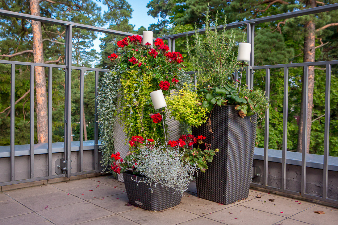 "Немного солнца в стакане воды" (Дизайнер Наталия Прохорова-Азбукина)