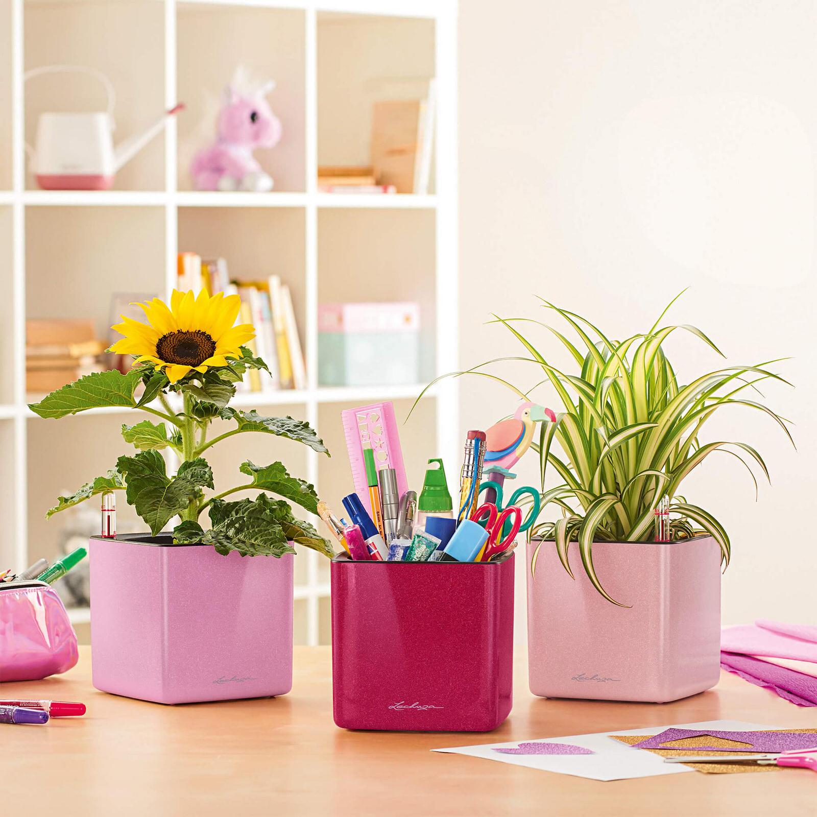 Назад в школу