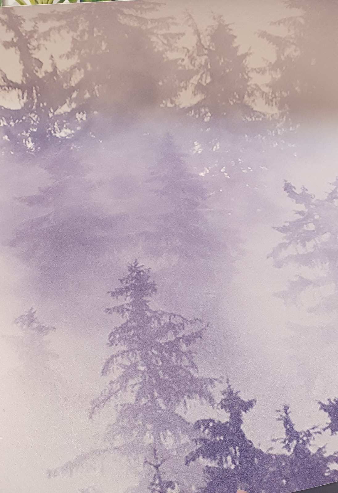 Обложка проекта: Римская штора из набивного бархата