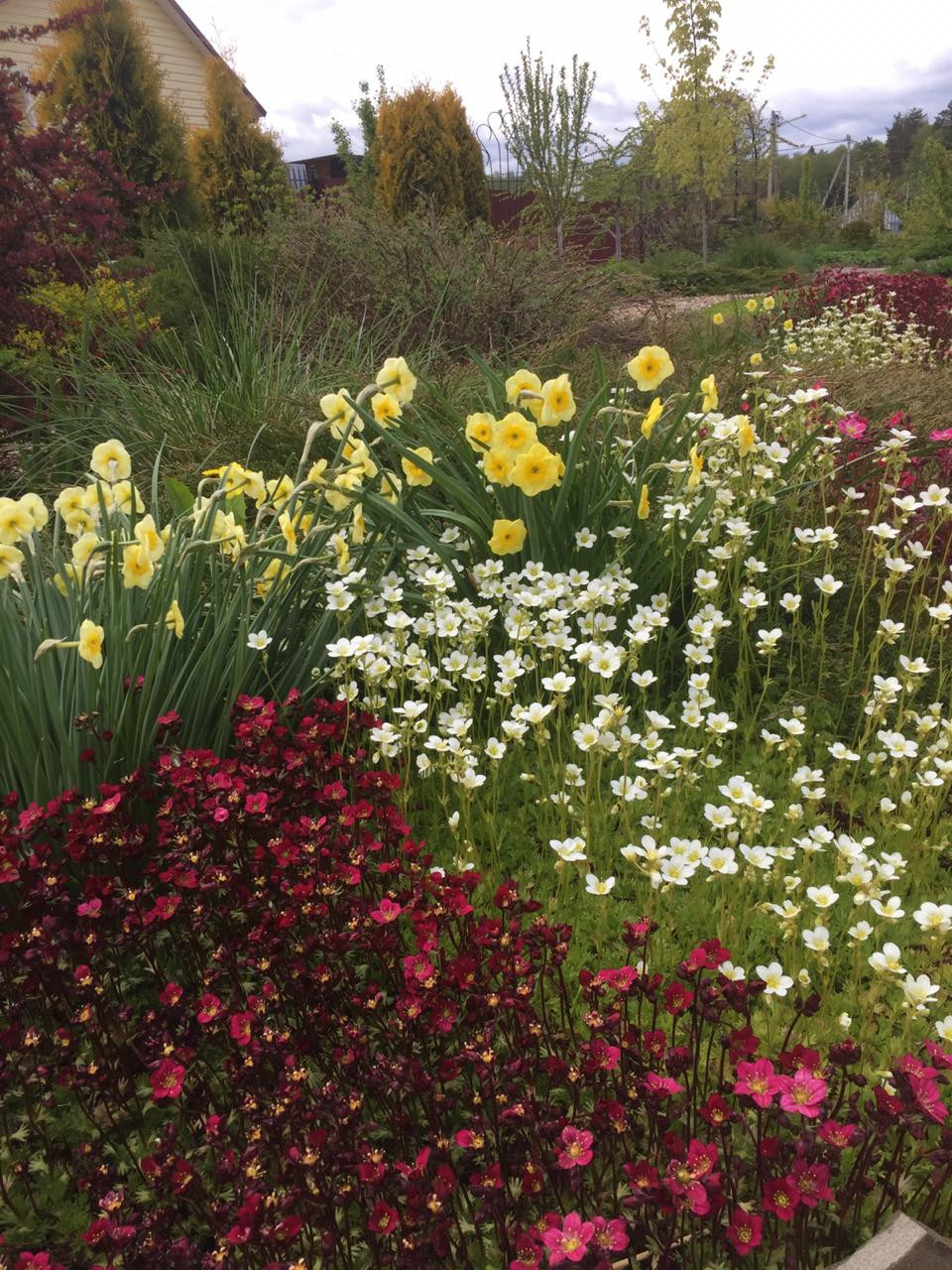 Обложка проекта: Сад трав и цветов.