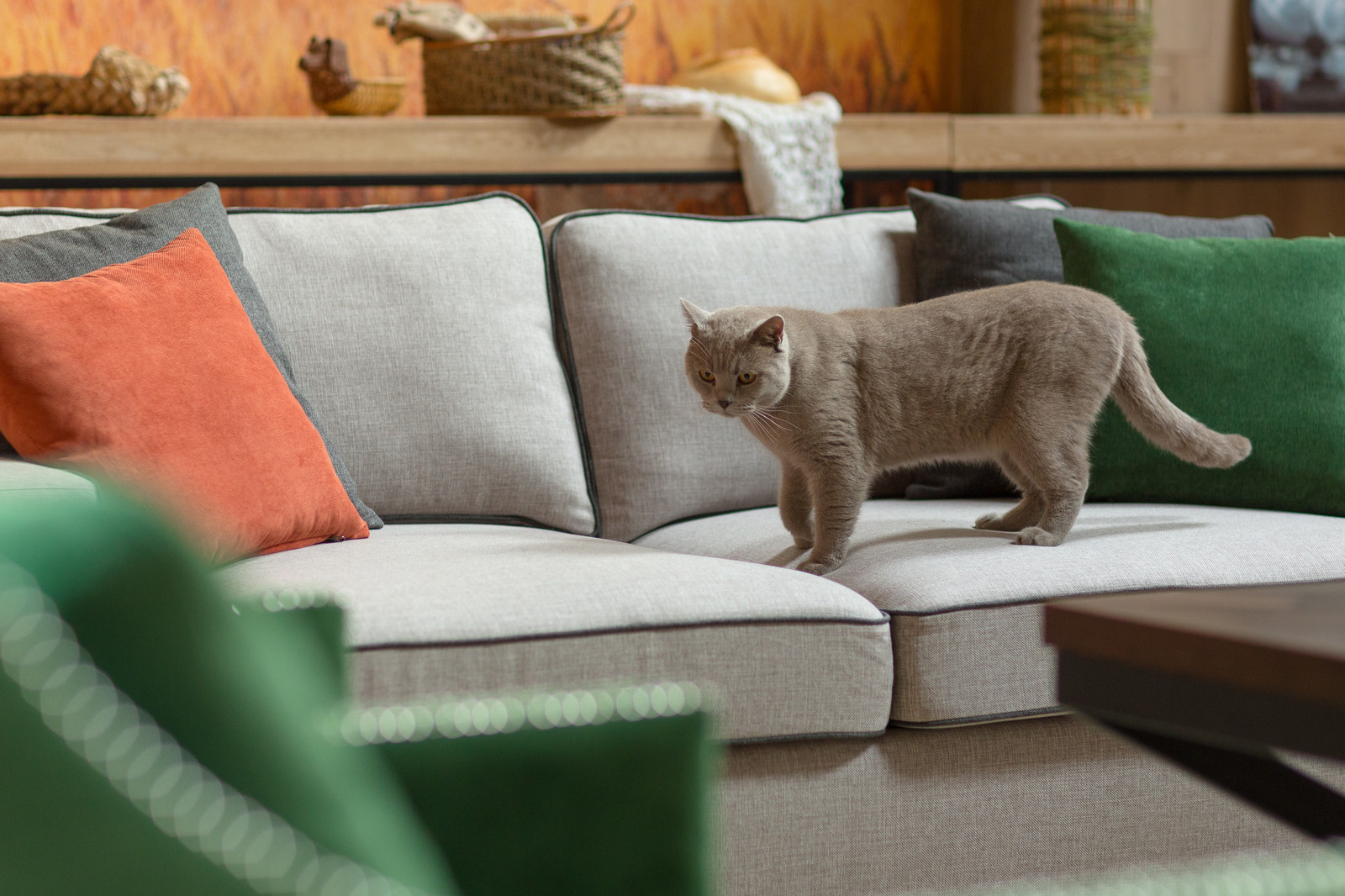 Интерьер, квартира №5