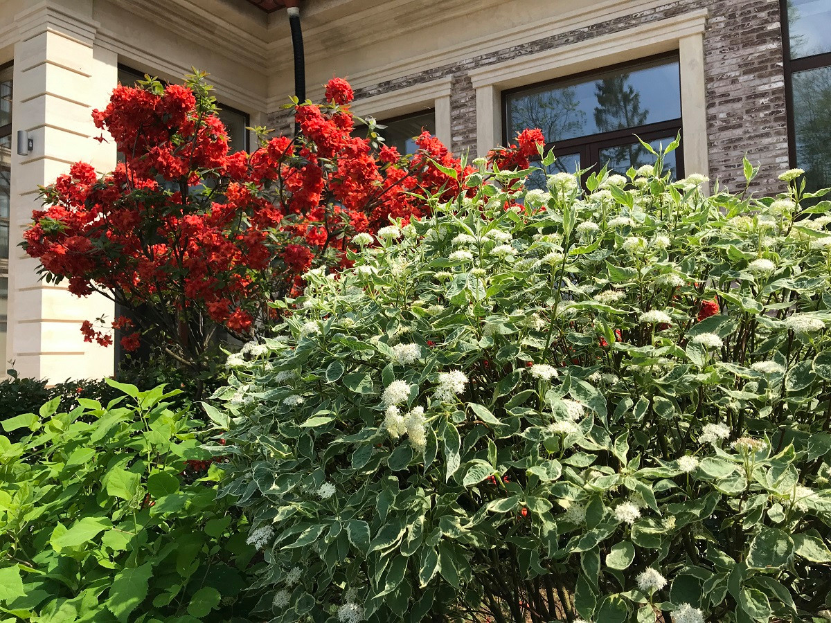 Современный ландшафтный дизайн.