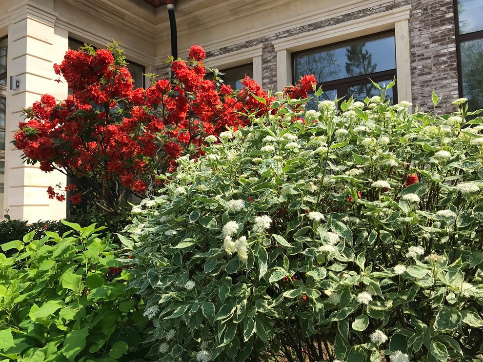 Современный ландшафтный дизайн.