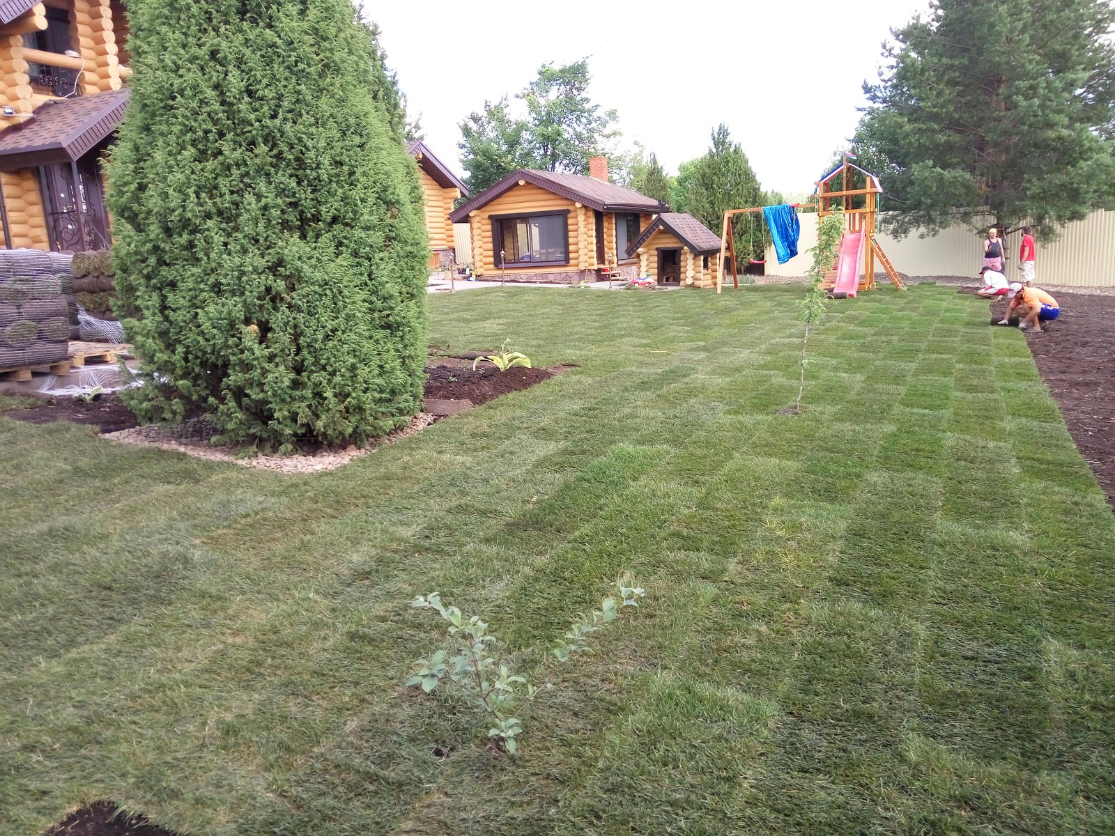 Обложка проекта: укладка рулонного газона