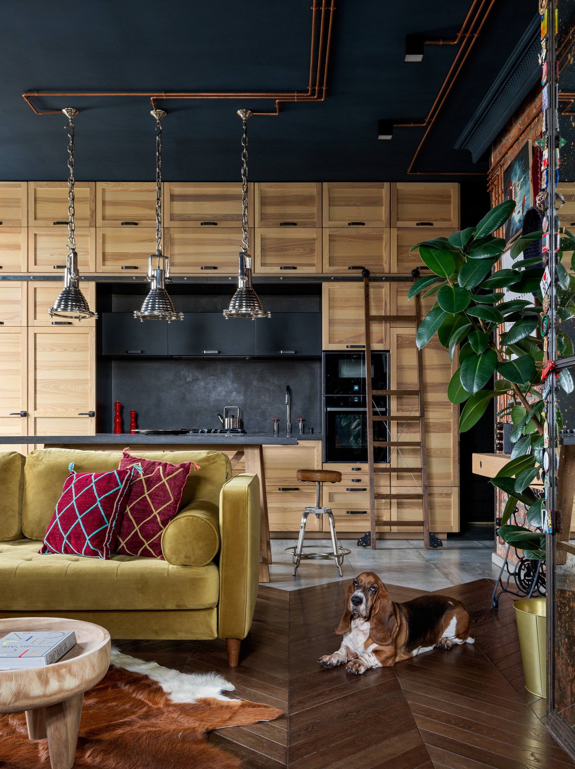 Houzz тур: Лофт в Петербурге с домиком для собак