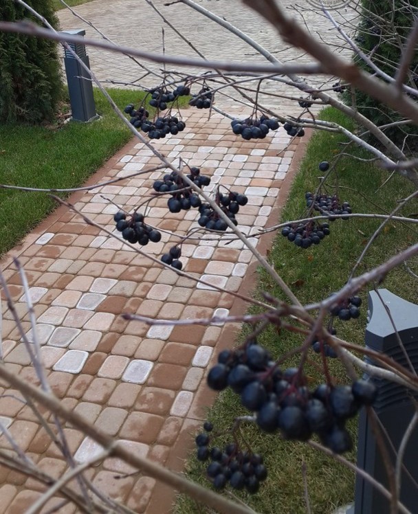 производство и укладка