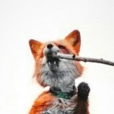 CozyFoxHole Сhannel