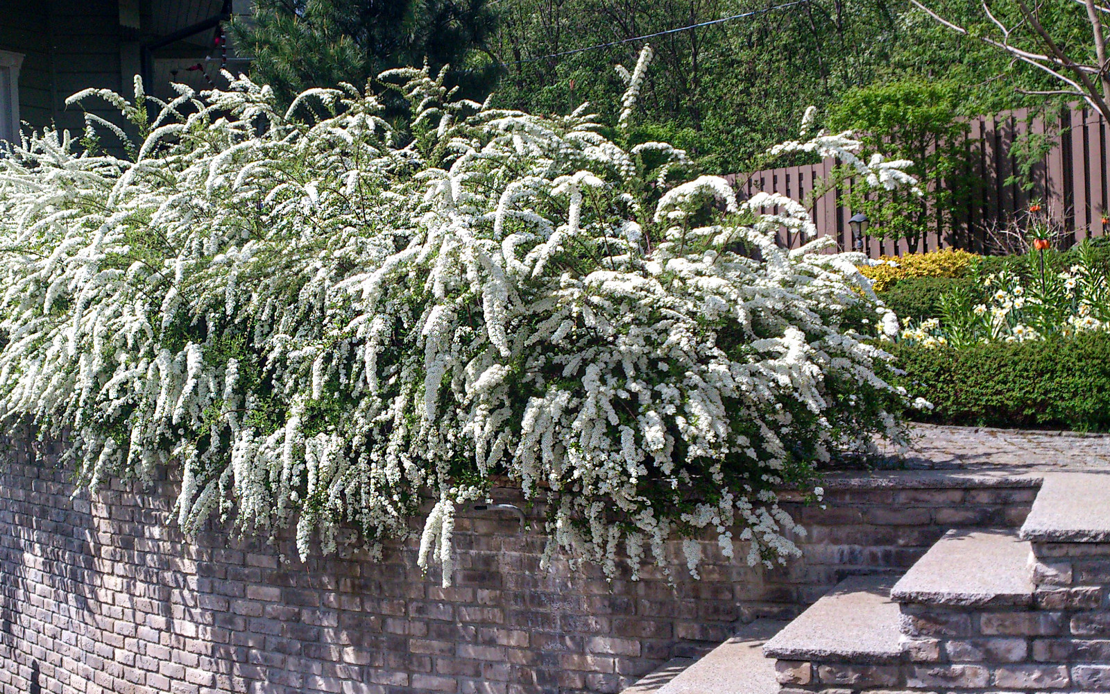 Усадьба на холме