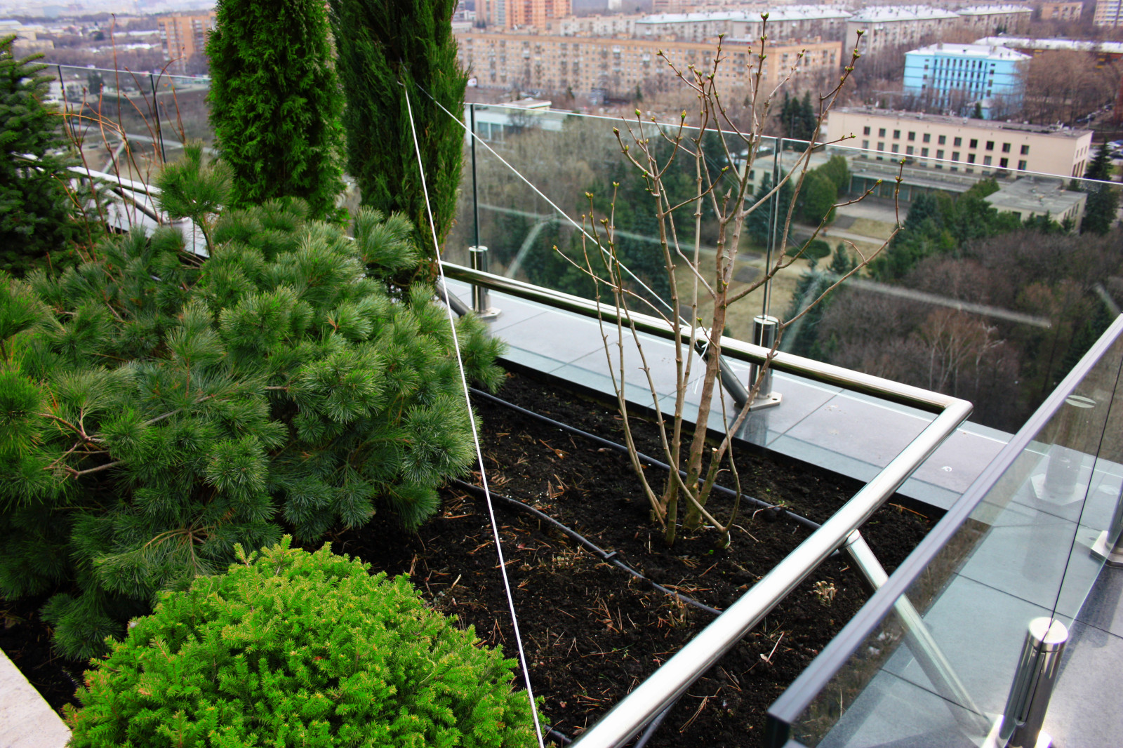 Полив Москва