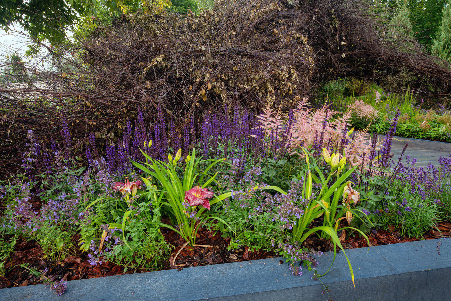 Фотосъемка Сада   по  Метрелинку на MFS 2019 Авторы М,Береснева М. ПРИНТЦ