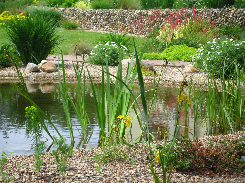 В тиши дома моего