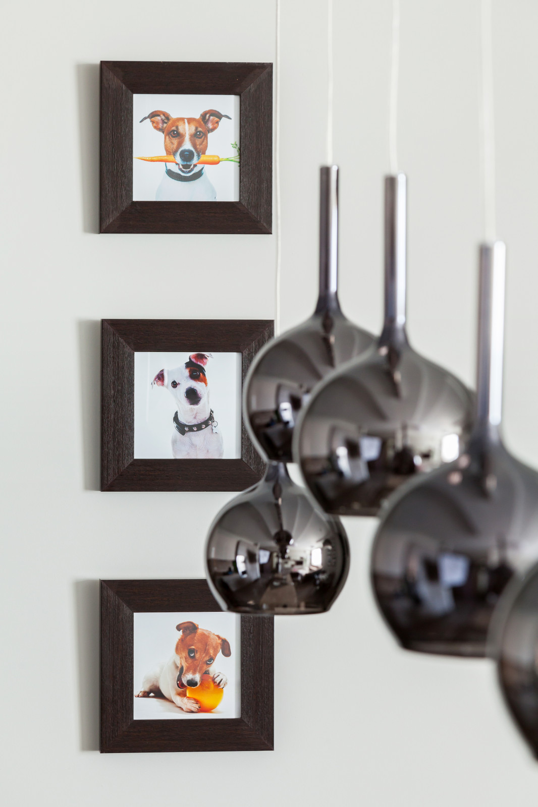 Обложка проекта: "Интеллигент"