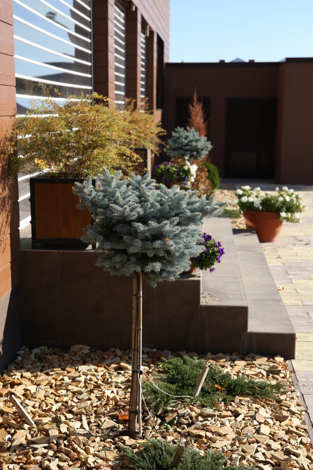 сад "Лаконичность"