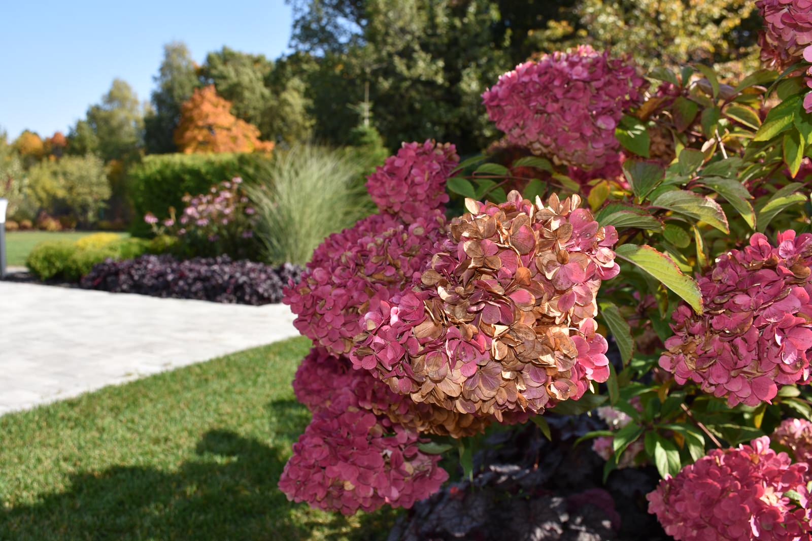 Игра в геометрию