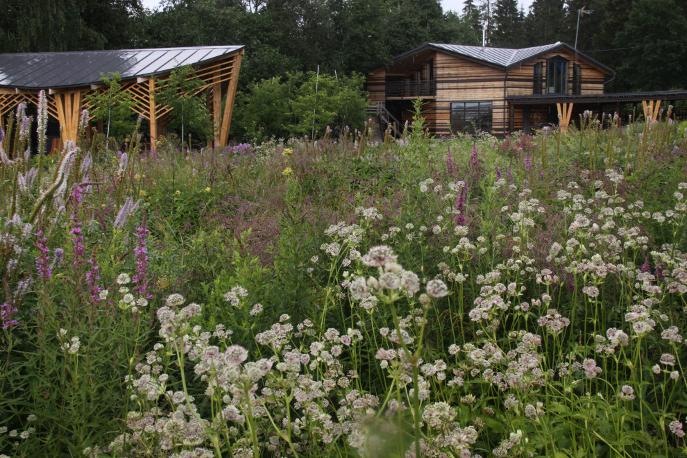 Сад "Три плюс два"