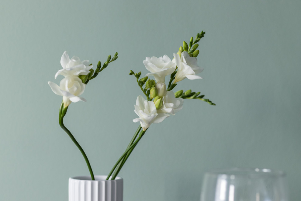 Яркая студия в апарт-комплексе VALO