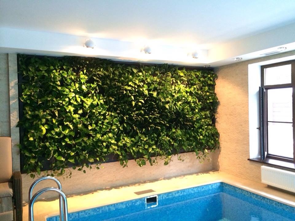 Домашний бассейн