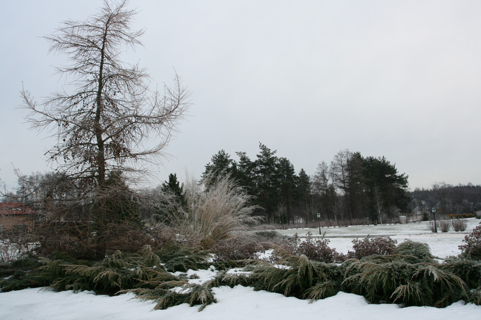 Репинские Усадьбы