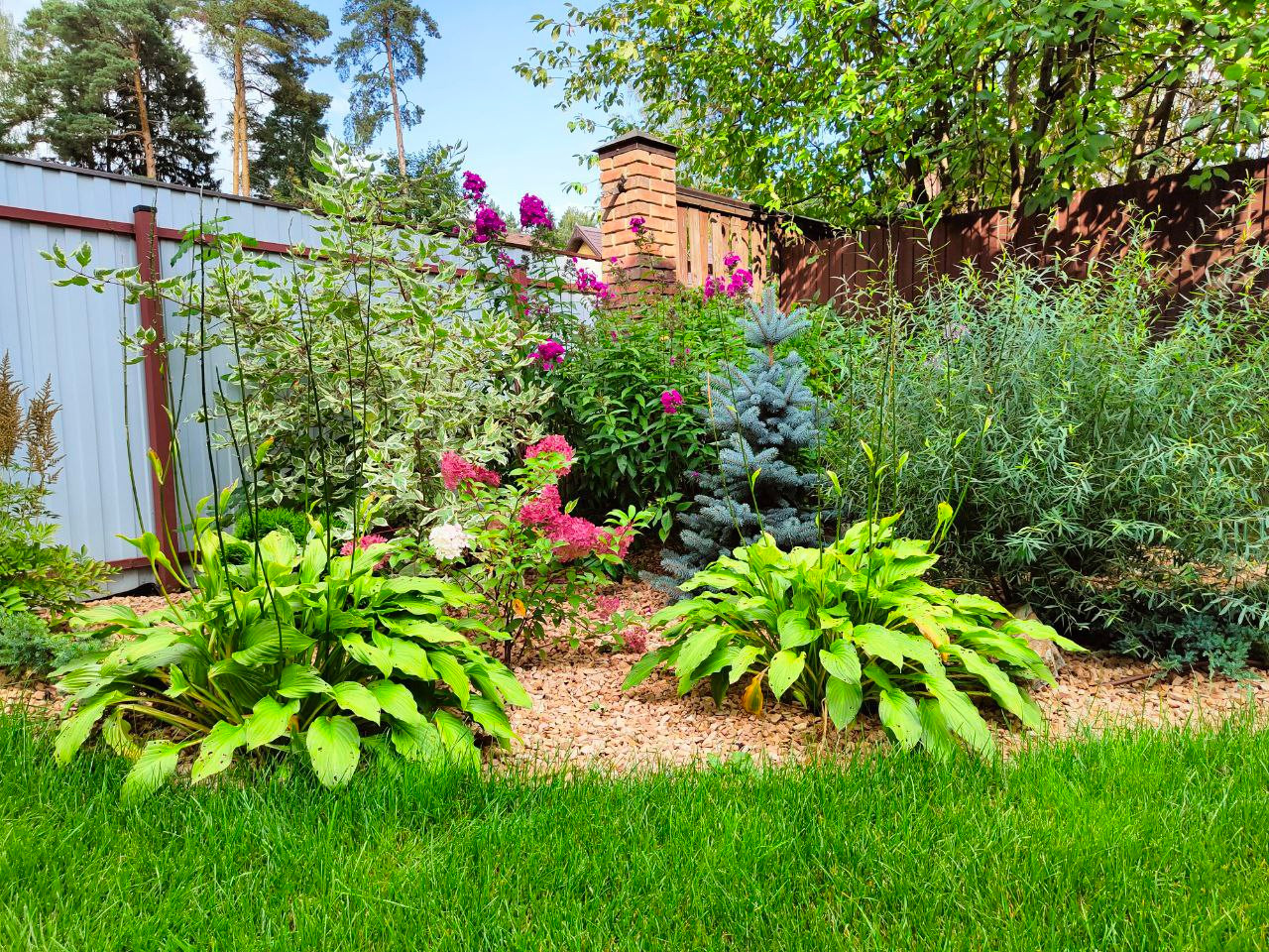 Под сенью леса (п. Удельная)