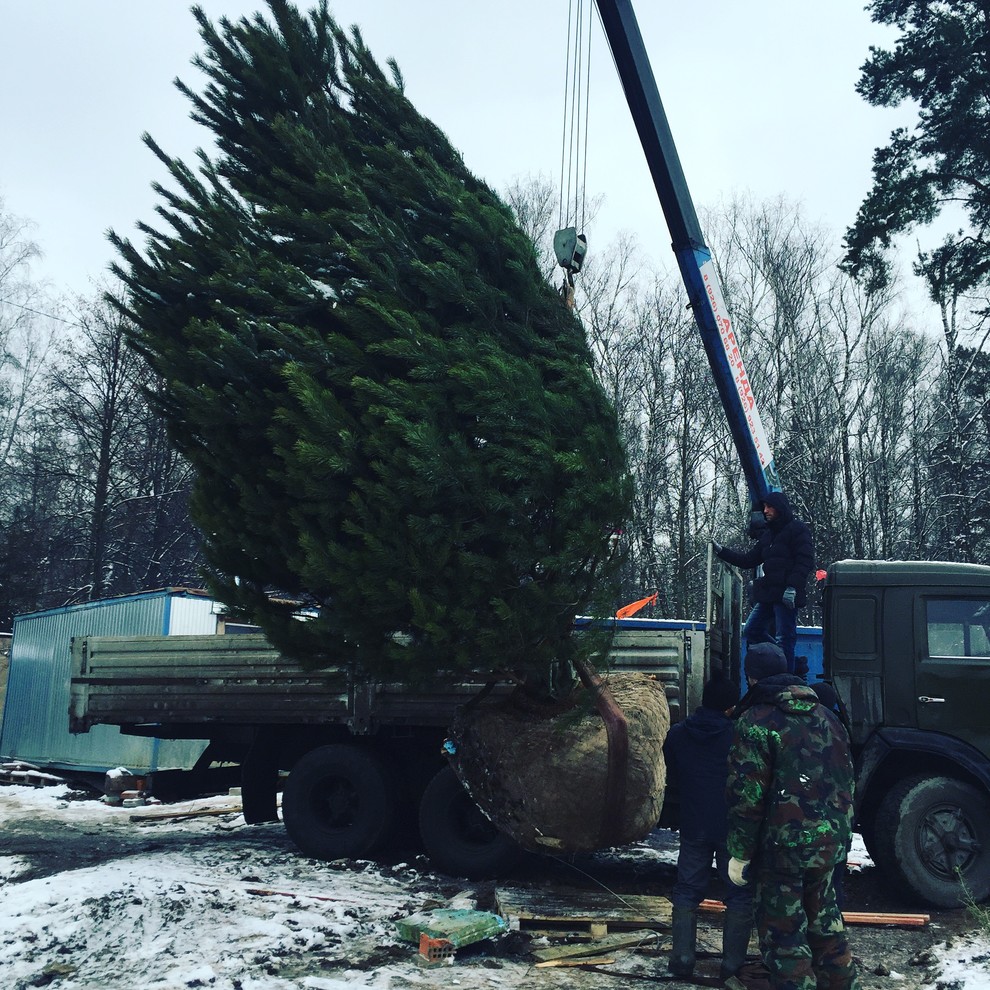 Крупномеры. Летом и зимой
