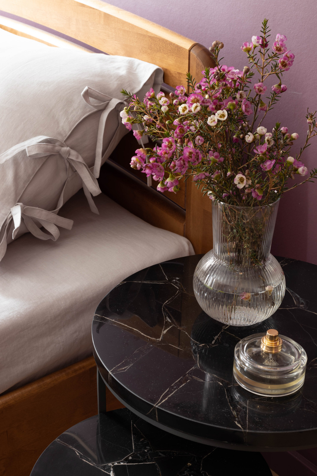 квартира с попугаями