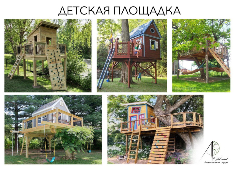 Солнце в кронах