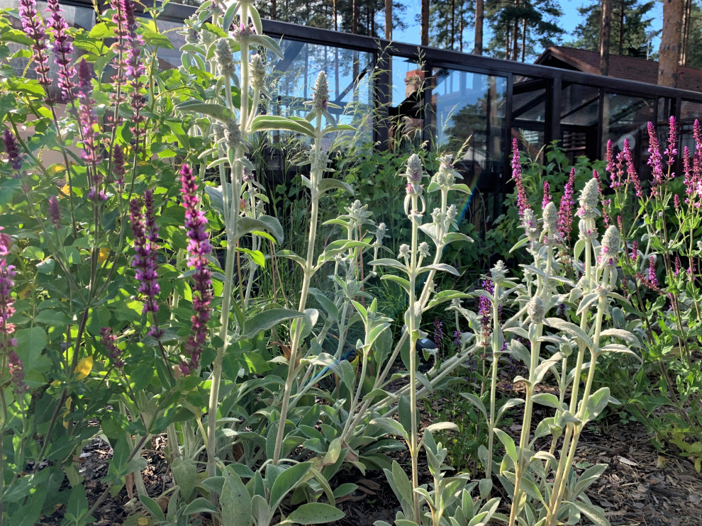 Обложка проекта: На солнечной поляне