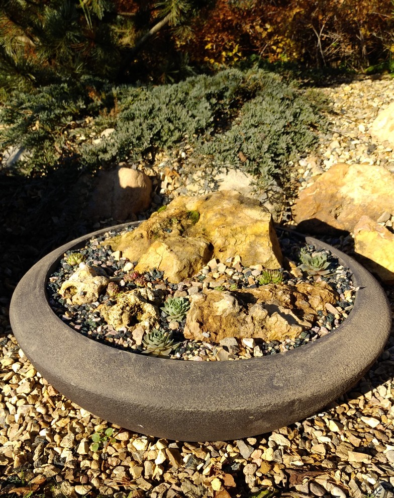 Альпинарии